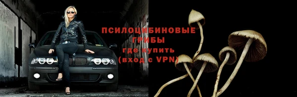 прущая мука Горняк