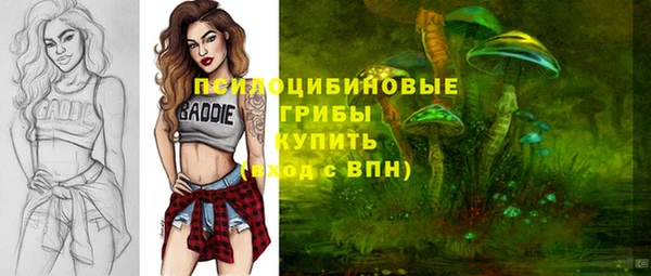 прущая мука Горняк