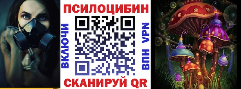 Купить  Починок  Псилоцибиновые грибы MAGIC MUSHROOMS 